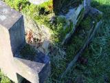 image of grave number 282545